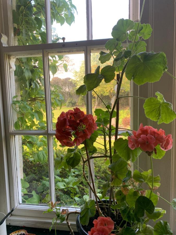 Dalton House Bed And Breakfast Екстериор снимка